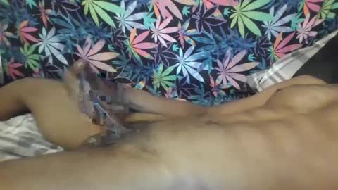 Libra Lamont online show from October 4, 2025, 8:23 am