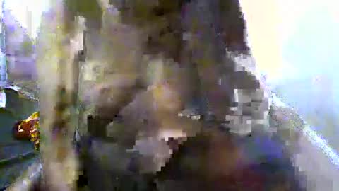 Snapshot of pretty_barbz chatting on March 8, 2025, 3:06 am pretty_barbz online show from March 8, 2025, 3:06 am