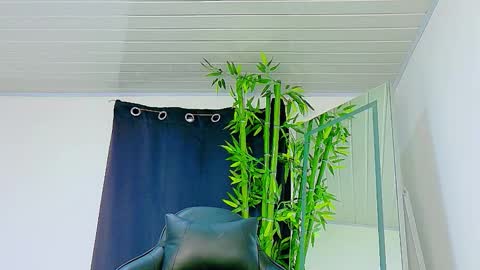 Snapshot of prettybunnies08 chatting on November 27, 2025, 9:06 pm Enzo Denis online show from November 27, 2025, 9:06 pm