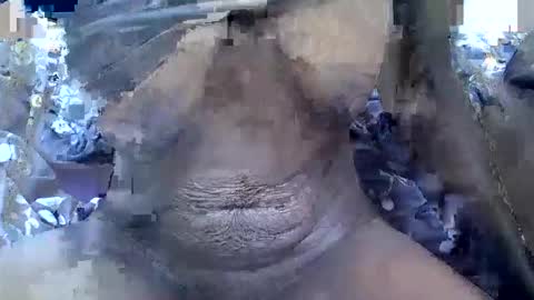 Prettiesexxy online show from November 16, 2025, 8:31 am