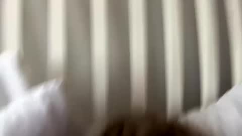 Prettiestpussy online show from September 27, 2025, 8:36 pm