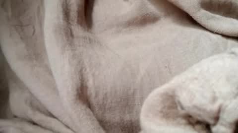 Snapshot of prettyrose01 chatting on July 14, 2026, 10:48 pm prettyrose01 online show from July 14, 2026, 10:48 pm
