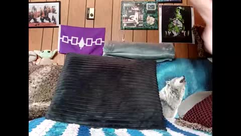 prettysolid7 online show from March 22, 2026, 2:20 pm