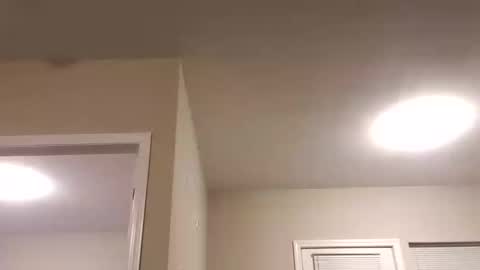 prettysolidd7 online show from January 7, 2025, 3:57 am