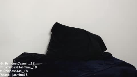 Snapshot of princessjasmine_18 chatting on February 11, 2025, 2:13 pm Jasmine online show from February 11, 2025, 2:13 pm