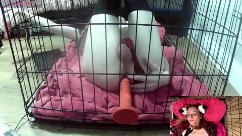 Snapshot of princessjuliaxo4 chatting on February 3, 2026, 2:10 am PrIncessJulia0X online show from February 3, 2026, 2:10 am