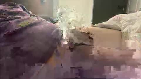 prishpreed23 online show from March 12, 2026, 11:38 am