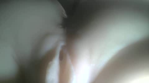 Snapshot of protecbuzz chatting on February 3, 2026, 12:42 am needtocum online show from February 3, 2026, 12:42 am