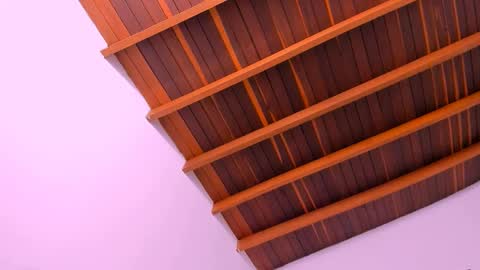 Mara online show from December 16, 2024, 8:52 am