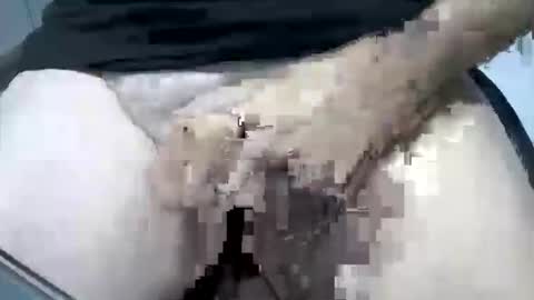 Snapshot of psfunman chatting on February 16, 2025, 5:48 pm psfunman online show from February 16, 2025, 5:48 pm