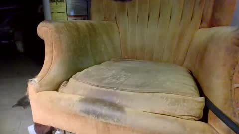 pspee313 online show from October 31, 2025, 11:06 pm