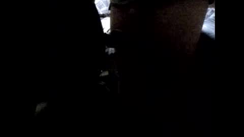 StefiTV1 online show from April 3, 2026, 3:04 am