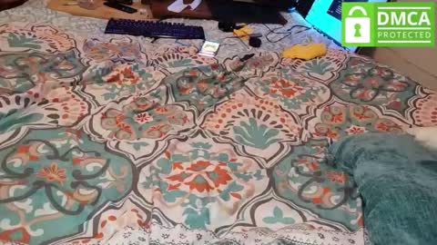 LOVE TO GET MY ASS FUCKED online show from March 9, 2026, 5:22 am