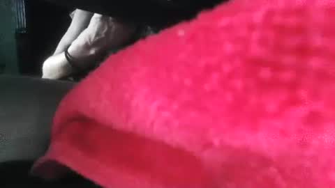 Puppah626  Phoenyx 39s Room online show from January 1, 2025, 5:00 pm