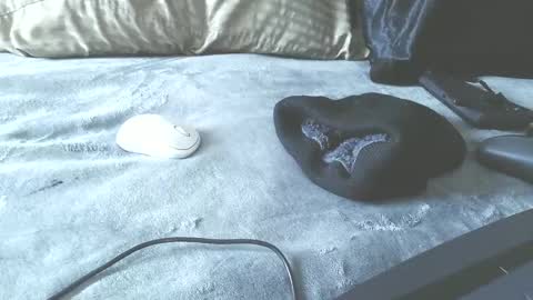 Puppah626  Phoenyx 39s Room online show from January 17, 2025, 6:44 pm