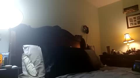 Puppah626  Phoenyx 39s Room online show from March 11, 2025, 8:30 am