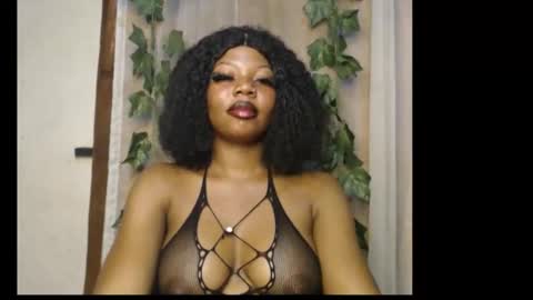 stella online show from February 10, 2026, 9:52 pm