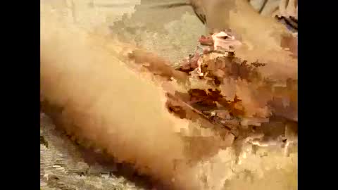 Thick Pussy banger online show from September 28, 2025, 7:52 pm