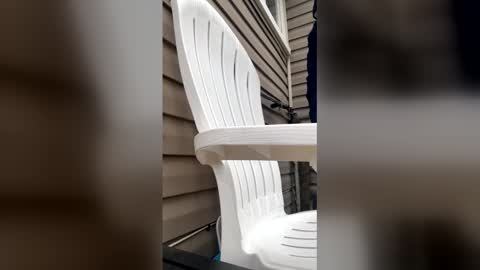 pyrex8 online show from January 13, 2026, 3:17 pm