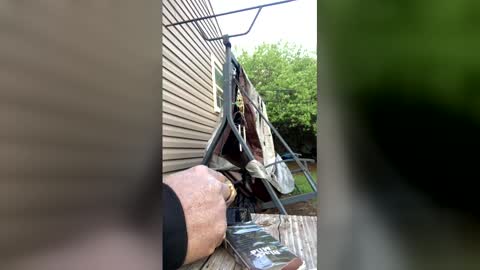 pyrex8 online show from April 5, 2026, 11:24 pm