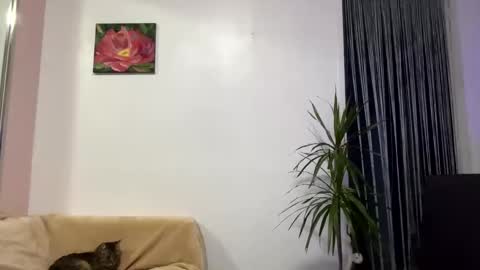 Viktoria online show from January 28, 2025, 12:32 pm