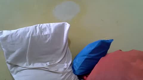 Gentrix online show from February 23, 2026, 11:51 am