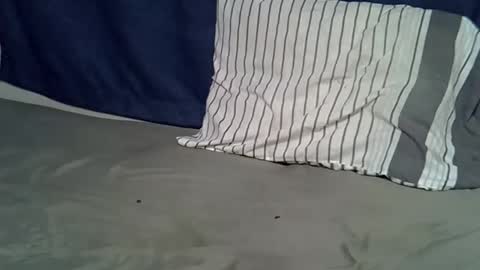 queen_polite online show from February 22, 2026, 8:02 am