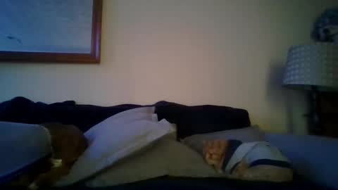 Snapshot of queenbee6269 chatting on February 6, 2025, 5:51 pm queenbee6269 online show from February 6, 2025, 5:51 pm