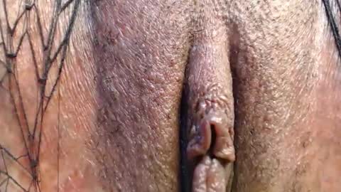 Quickie online show from April 29, 2026, 9:32 pm