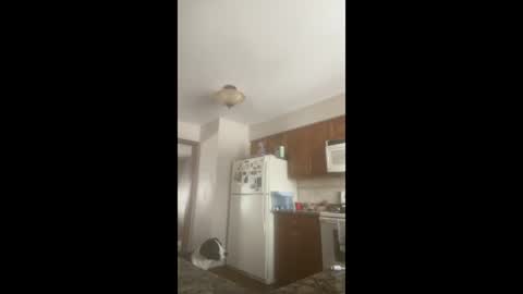 rabbi_poolnoodle online show from January 16, 2026, 7:51 pm