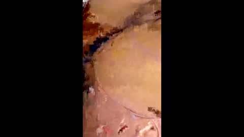 rafagomez102002 online show from January 18, 2026, 2:48 am