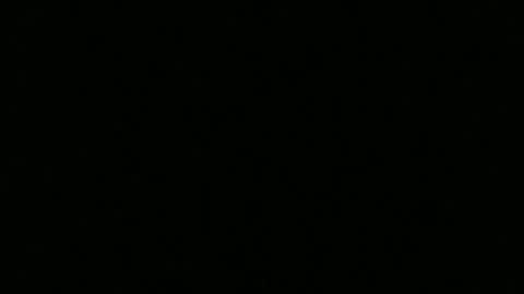 hornybluecollar online show from December 10, 2024, 12:39 am