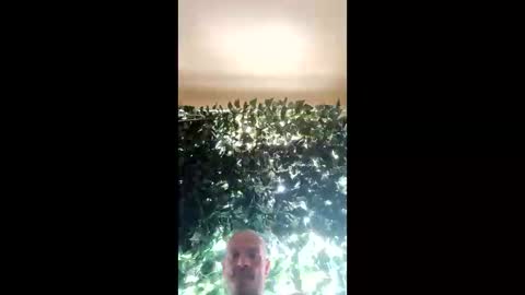 Snapshot of ragingzef69 chatting on March 2, 2025, 2:51 am Bigthickdickinvic online show from March 2, 2025, 2:51 am