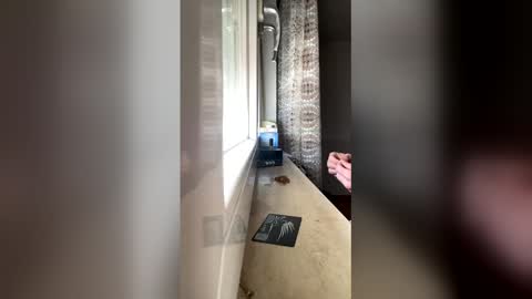 raknar992 online show from January 6, 2026, 12:31 pm