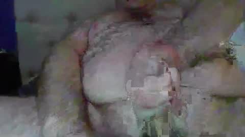 Snapshot of randythedingo chatting on February 18, 2025, 4:37 pm randythedingo online show from February 18, 2025, 4:37 pm