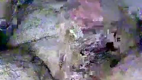 Rasit Adanali online show from March 8, 2026, 3:54 am