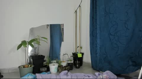 gata online show from March 12, 2025, 7:57 am