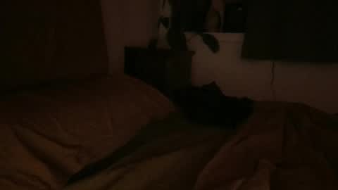 sebas online show from February 6, 2025, 6:51 am