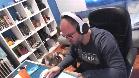 ravingr3d3 online show from November 11, 2025, 9:20 am