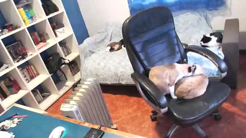 ravingr3d3 online show from January 11, 2026, 3:28 pm