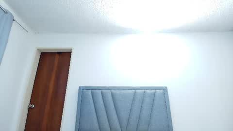 Snapshot of ray_weed chatting on June 29, 2026, 11:05 pm Ray online show from June 29, 2026, 11:05 pm