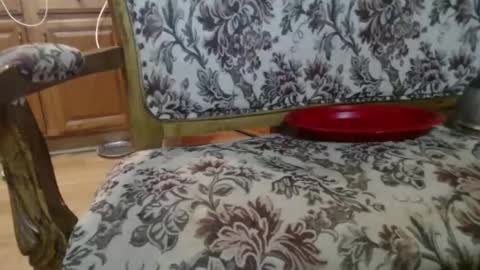 Ray online show from February 1, 2026, 5:50 am