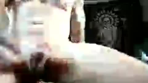 reade19844 online show from July 7, 2026, 4:04 am
