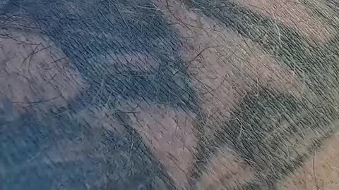 realrubpirate online show from September 9, 2025, 9:31 am