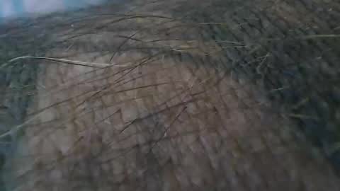 realrubpirate online show from October 19, 2025, 9:21 am