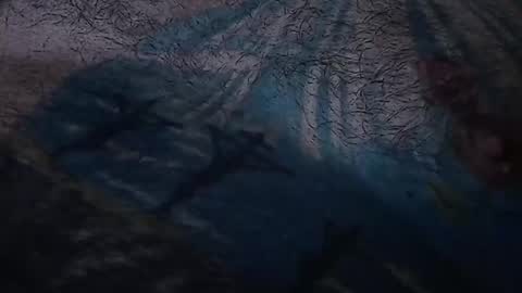 realrubpirate online show from March 22, 2026, 7:56 am