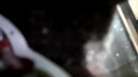 Snapshot of reba21 chatting on February 1, 2026, 11:58 pm reba21 online show from February 1, 2026, 11:58 pm