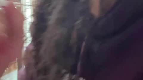 redfloweer online show from September 28, 2025, 7:41 pm