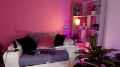 Red Jasmine online show from February 9, 2025, 11:46 pm