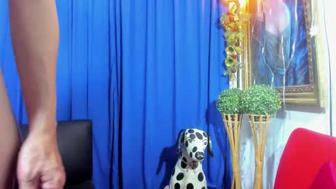 MIA online show from February 8, 2025, 4:04 pm